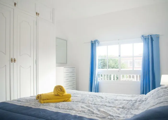 Sunny Centrical In Amigos